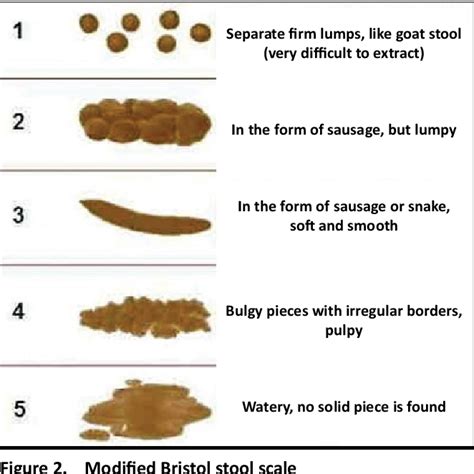 types of stool sample tests